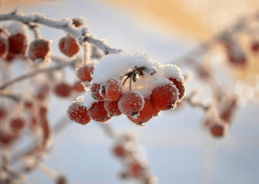 Mellandagspass - Kundaliniyoga, meditation & gongvila